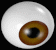 oog